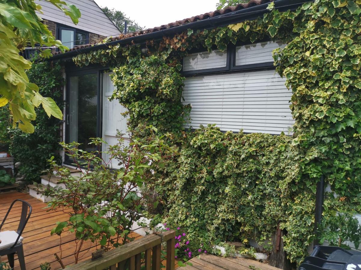 برايتون Bungalow With Parking, Near Preston Park المظهر الخارجي الصورة