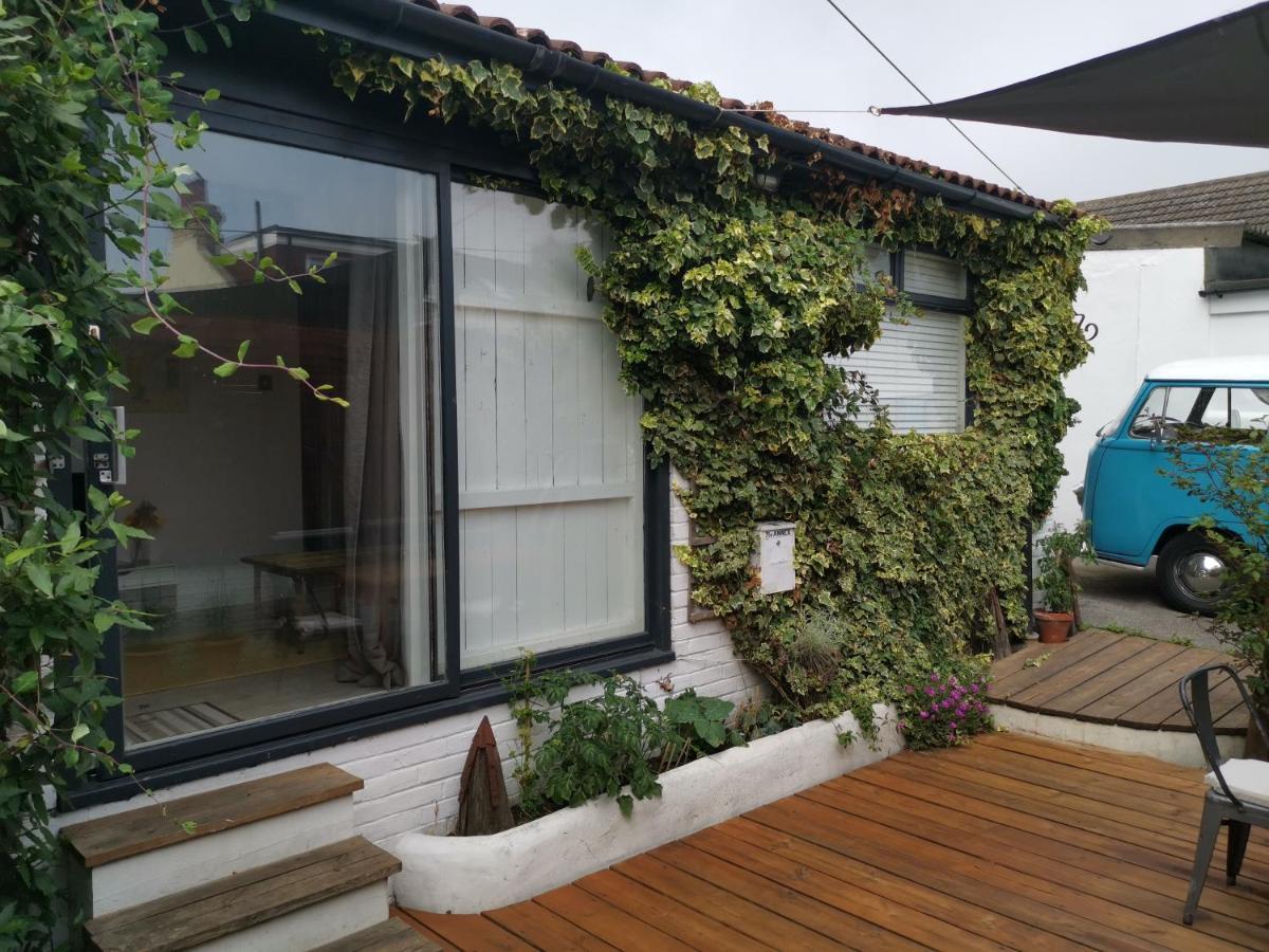 برايتون Bungalow With Parking, Near Preston Park المظهر الخارجي الصورة